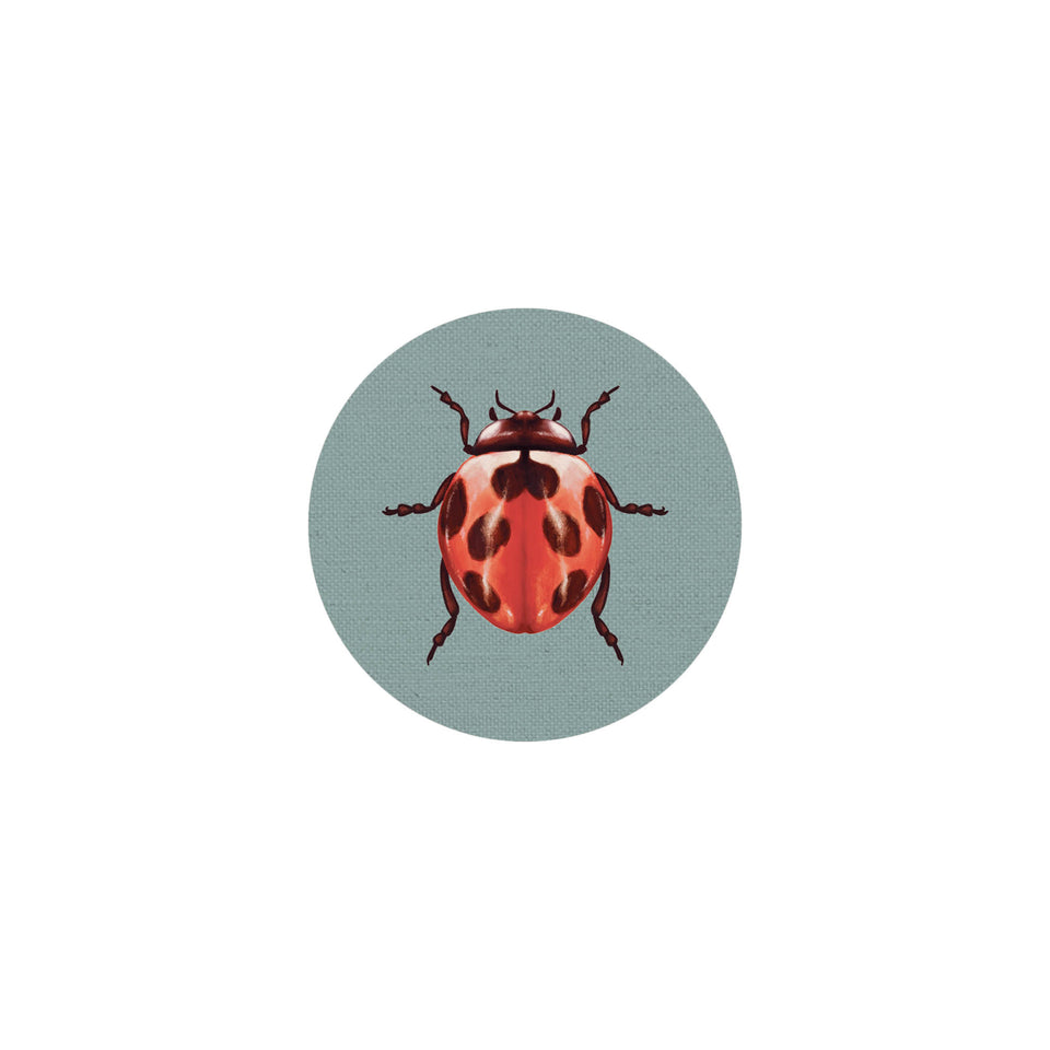 Sottobottiglia Insetti II