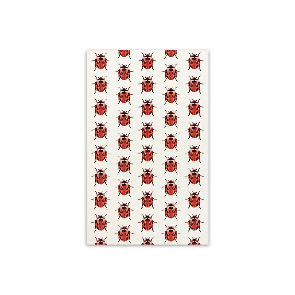 Canovacci Insetti II